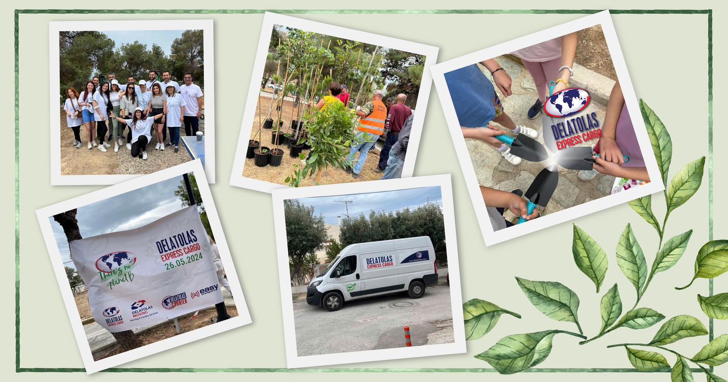 444216576 954753039992176 6556922830116430138 N